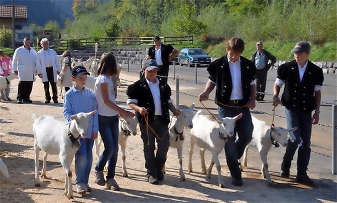100 Jahre Ziegenzuchtgenossenschaft 