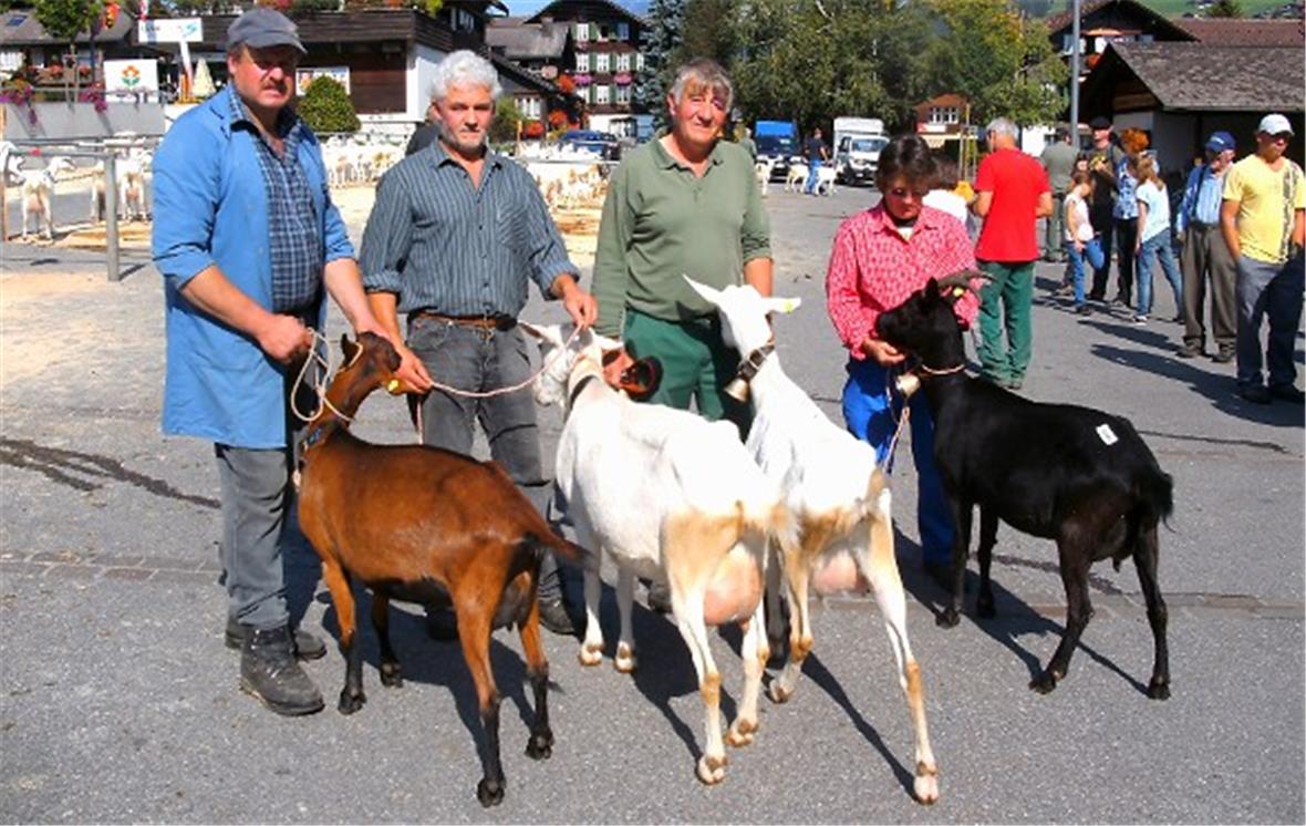 Herbstschau der Ziegenzüchter 