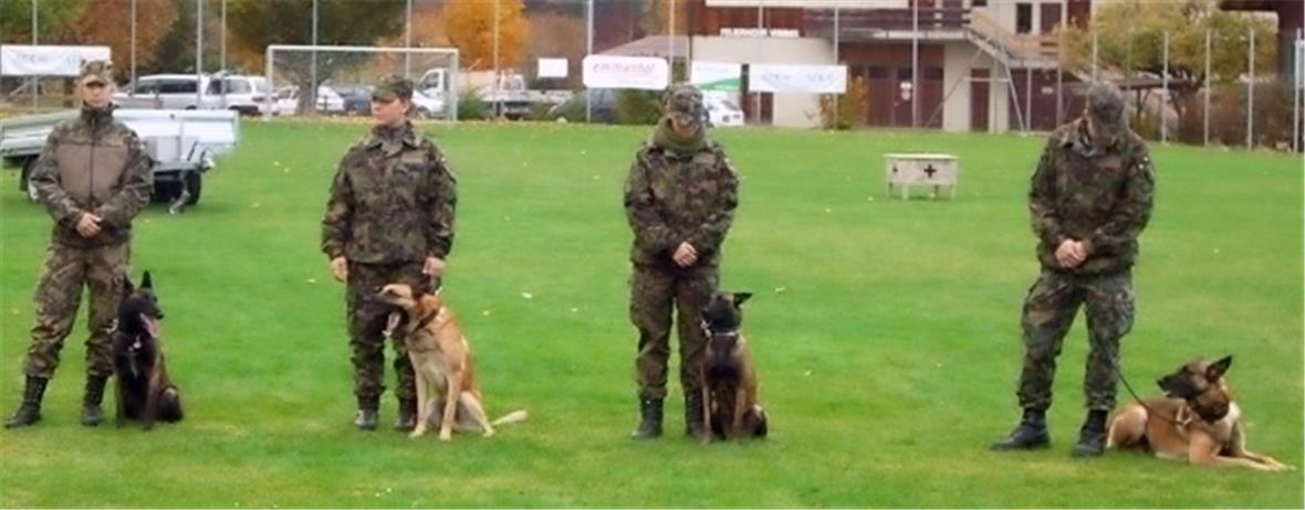 Schweizer-Meisterschaft der Schäferhunde in Wimmis 