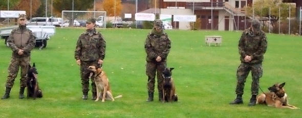 Schweizer-Meisterschaft der Schäferhunde in Wimmis