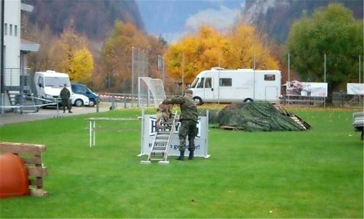 Schweizer-Meisterschaft der Schäferhunde in Wimmis 