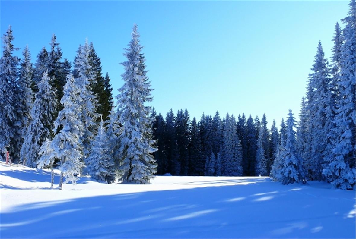 Saisonstart im Sparenmoos 