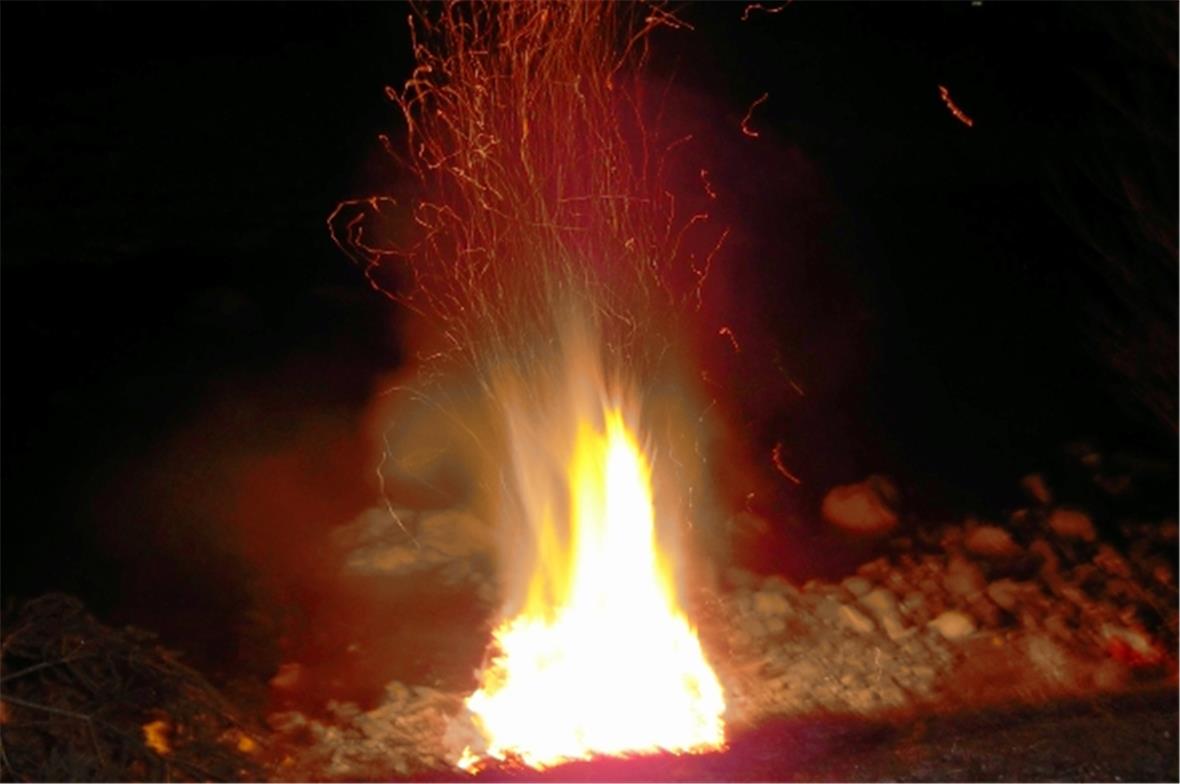 56 Weihnachtsbäume wurden angezündet! 