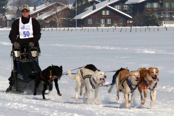 34.Internationales Schlittenhunderennen an der Lenk