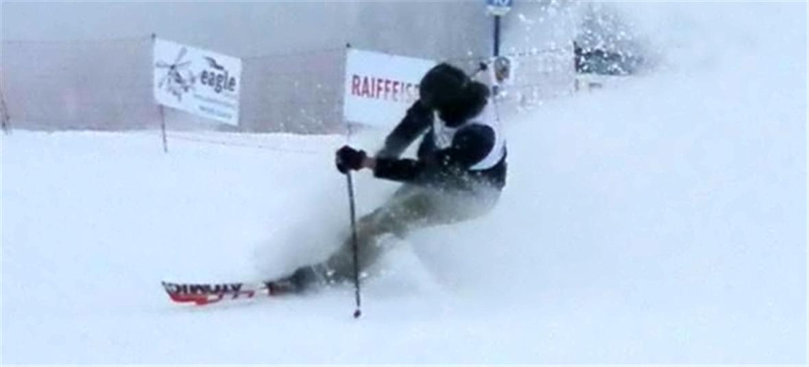 Förster im Stangenwald statt im Wald 