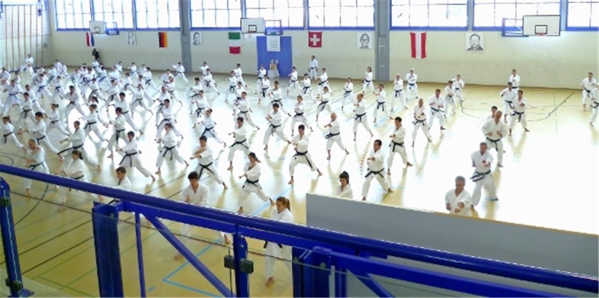 Karate-Grossanlass in Spiez 