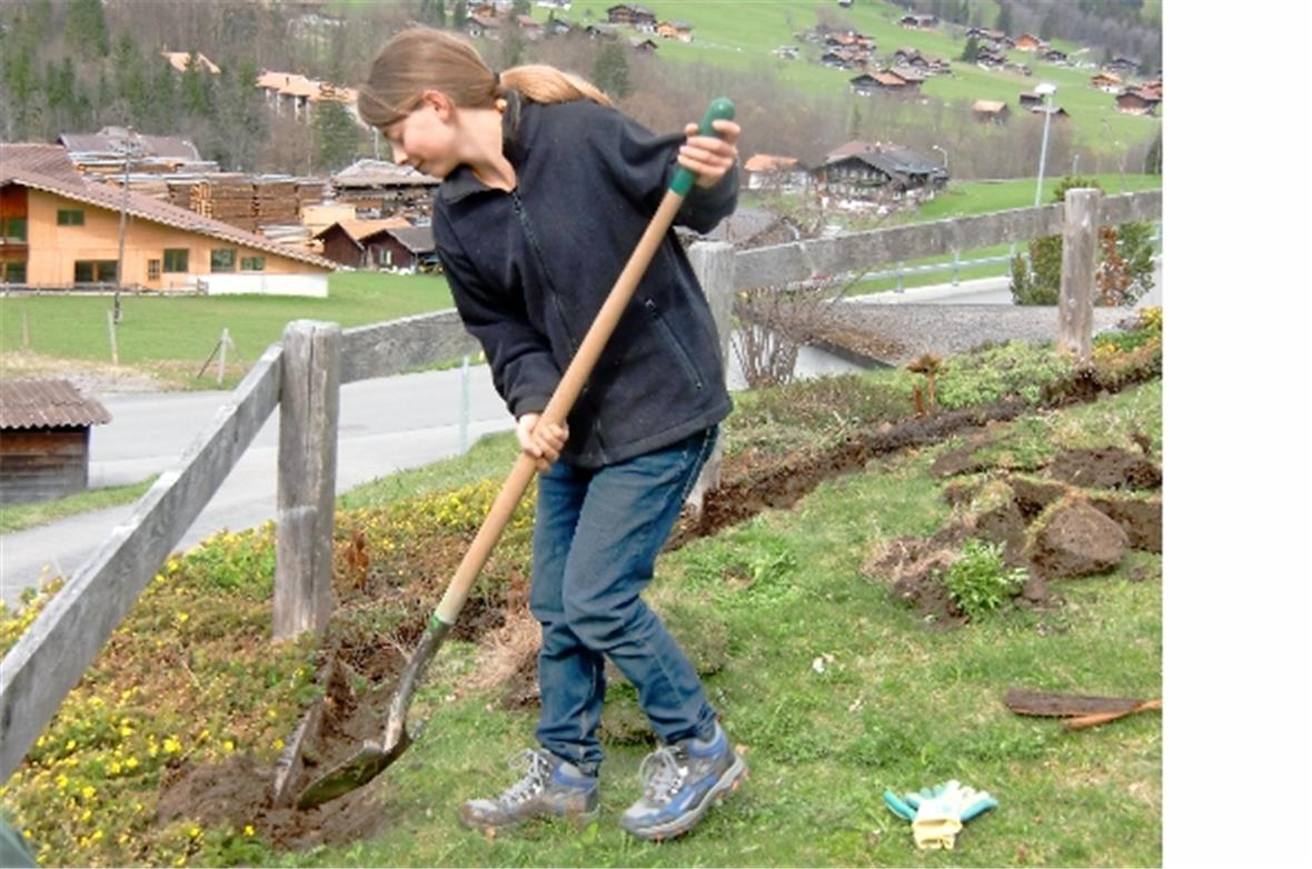 Berufserkundung der Siebtklässler 