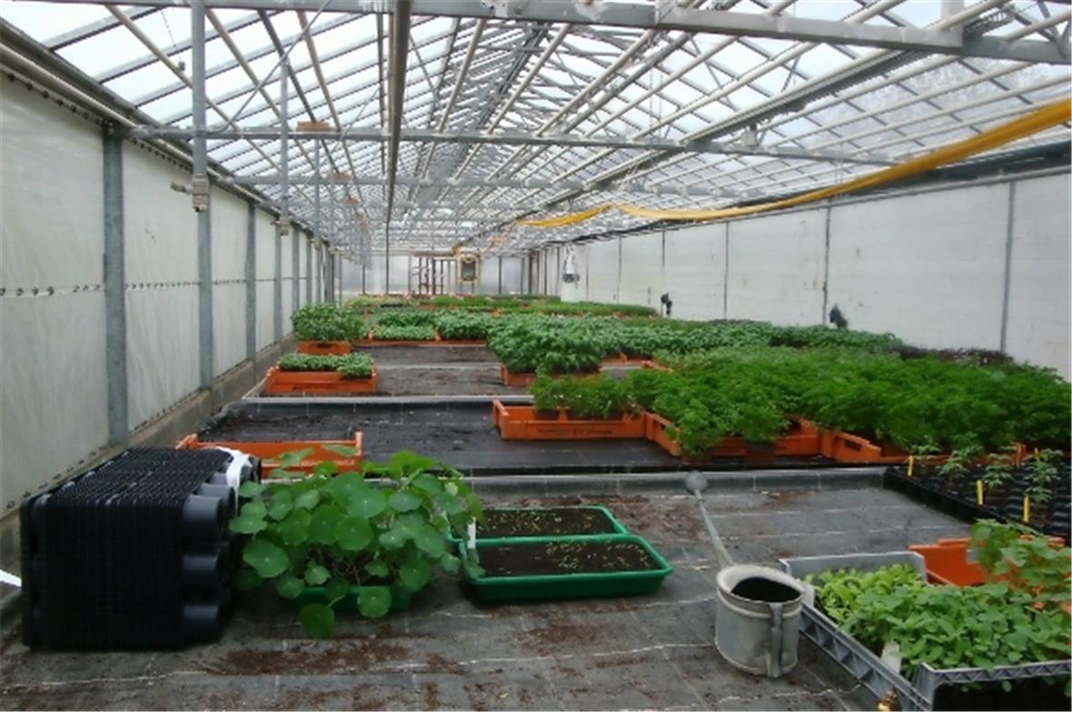 Jahresausflug des Frauenvereins 