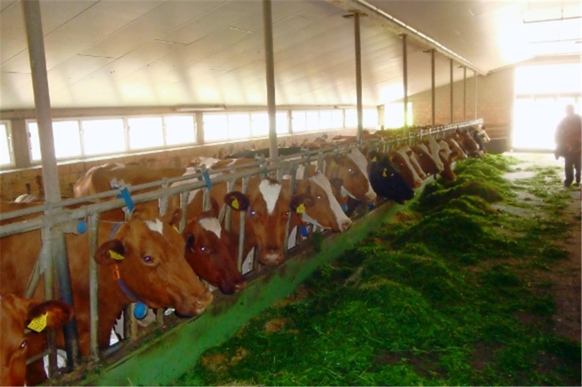 Jahresausflug des Frauenvereins 