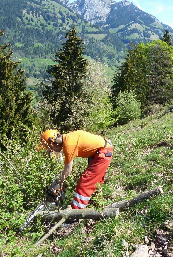 Zivilschutz Badenunterstützt Därstetten