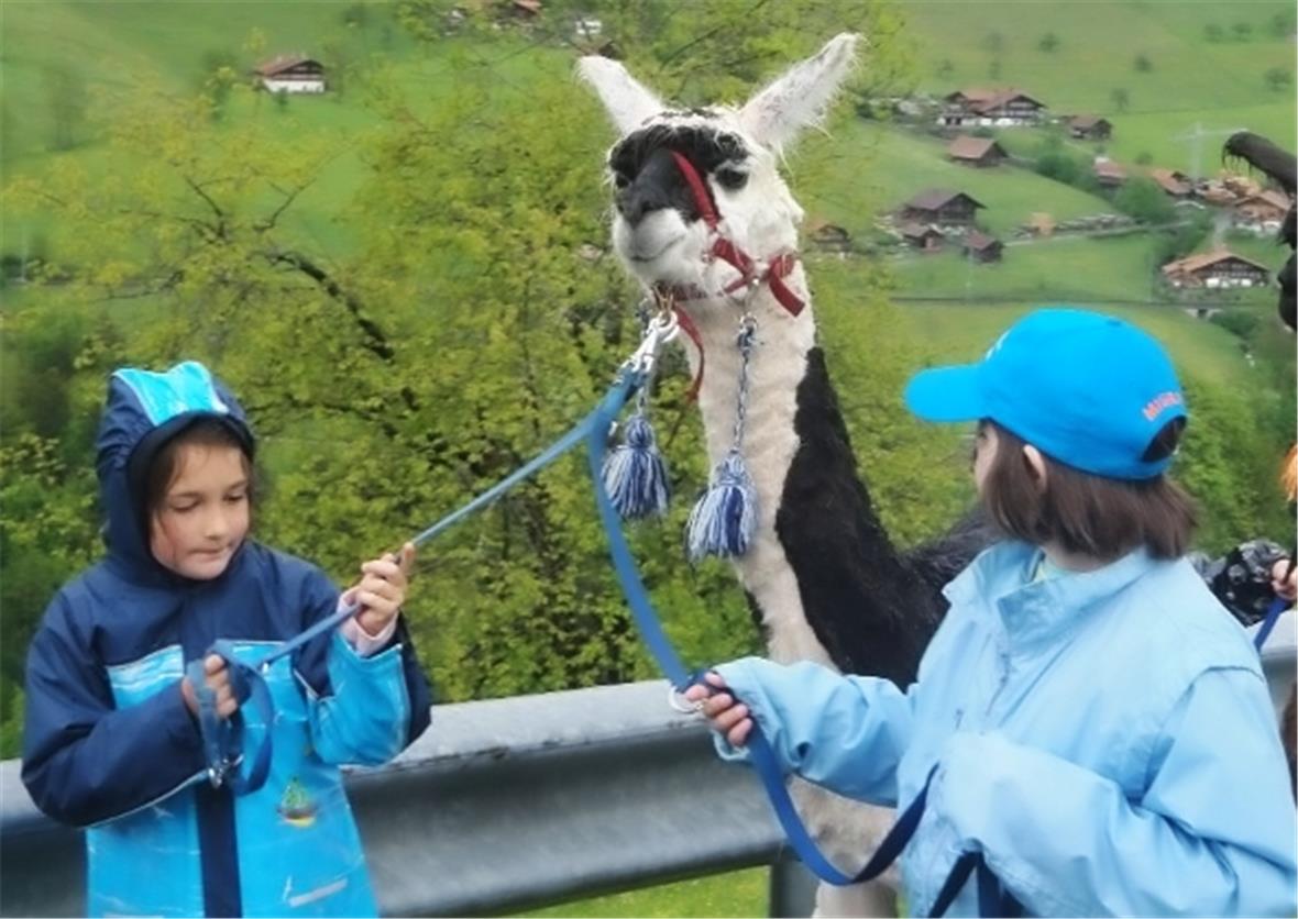 Unterwegs mit Lamas, Übernachtung im Camping 