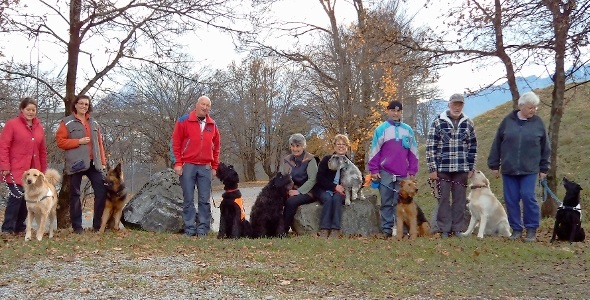 Sanitätshundegruppe Obersimmental auf Erfolgskurs