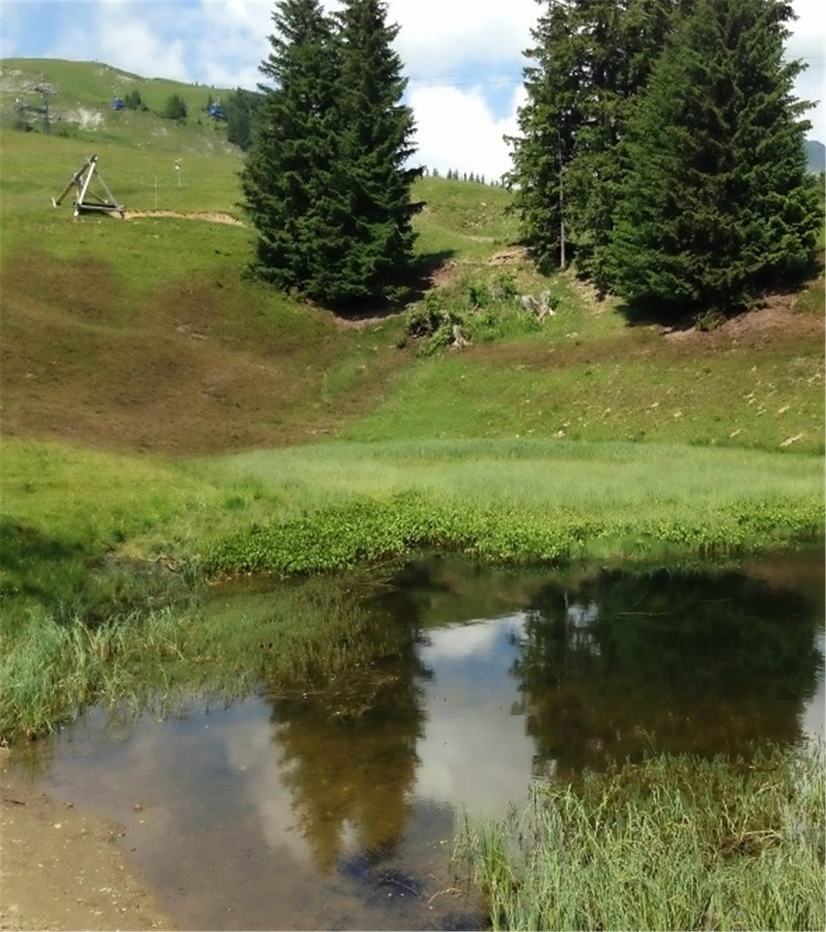 Stinki Seeli an der Lenk 