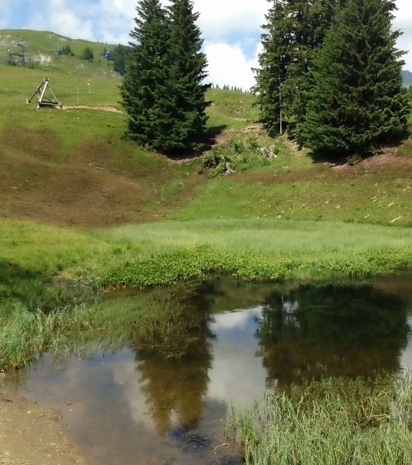 Stinki Seeli an der Lenk