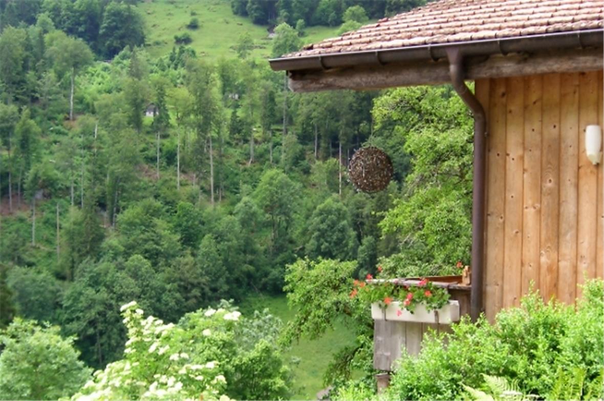 Landwirtschaftsbetriebe haben sehr hohe Herausforderungen 