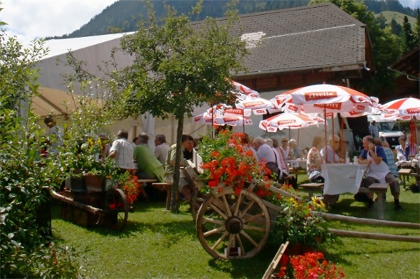 6. Diemtigtaler Jodler-Openair