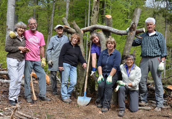 Schlemmerbüffet für Rosalia alpina