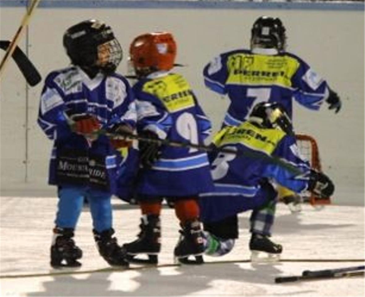 Hochbetrieb auf der Eisbahn Lenk 