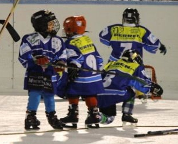 Hochbetrieb auf der Eisbahn Lenk