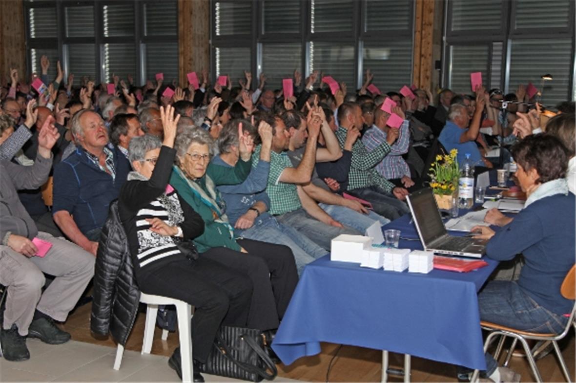 Nach durchzogenem 2014 immer noch im Budget 