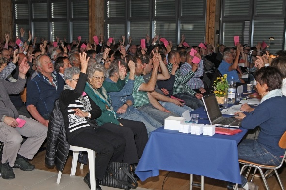 Nach durchzogenem 2014 immer noch im Budget