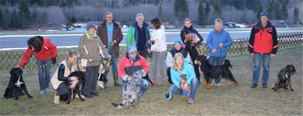 Hundeerziehungskurs 2015 