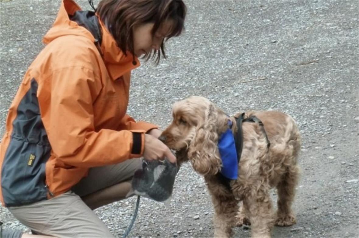 4. Mantrailing Weekend an der Lenk 