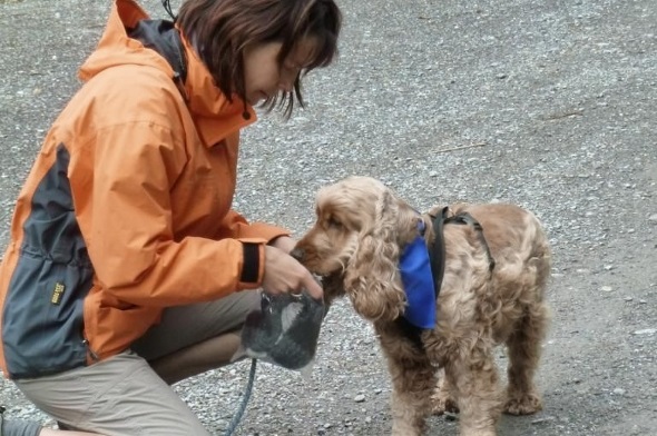 4. Mantrailing Weekend an der Lenk