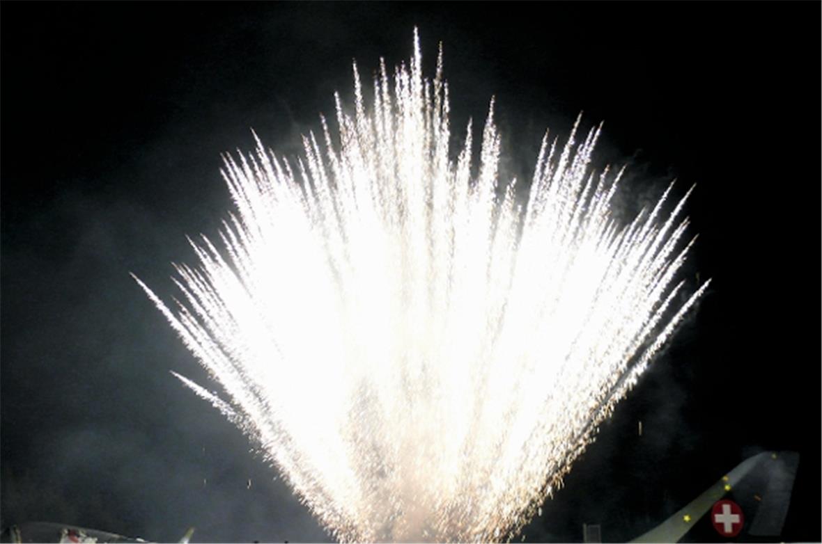 Feuerschäden durch Feuerwerk verhindern 