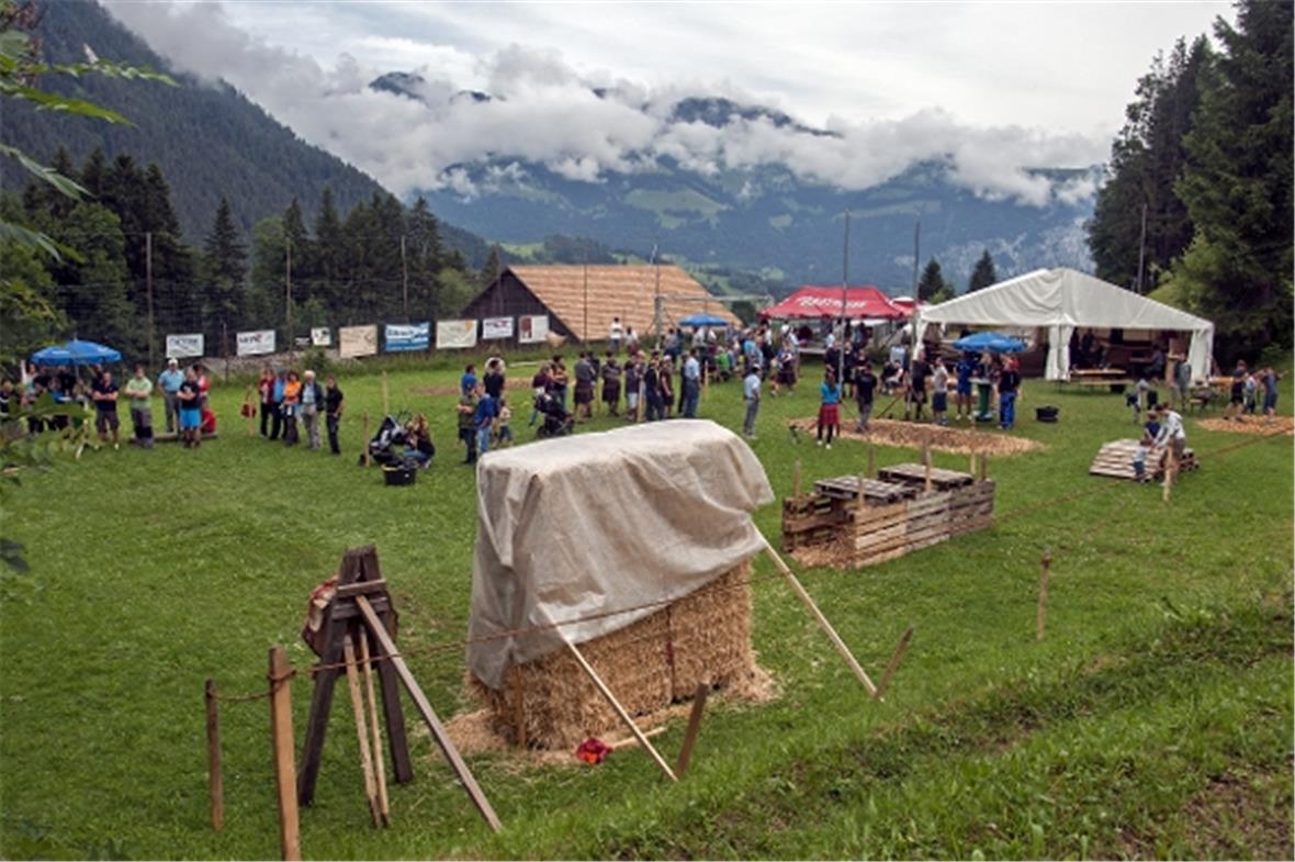 Fliegende Streitäxte und Baumstämme 