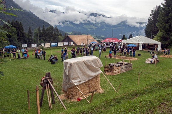 Fliegende Streitäxte und Baumstämme