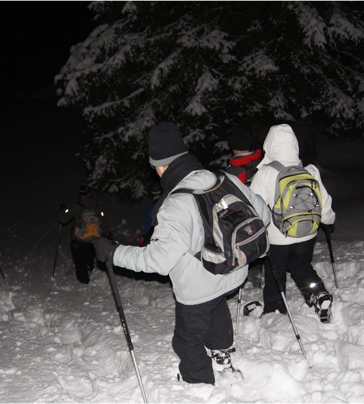 Traumhaftes Erlebnis – eine Schneewanderung bei Vollmond 