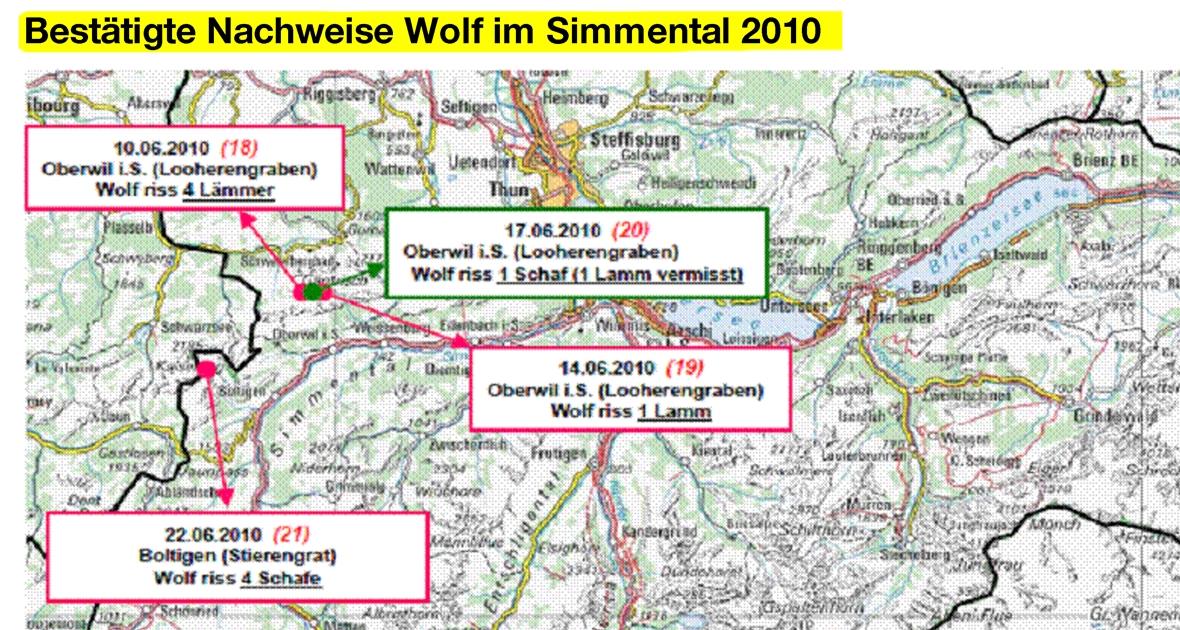 Luchs und Wolf waren wieder am Werk 