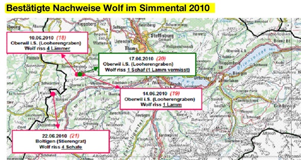 Luchs und Wolf waren wiederamWerk