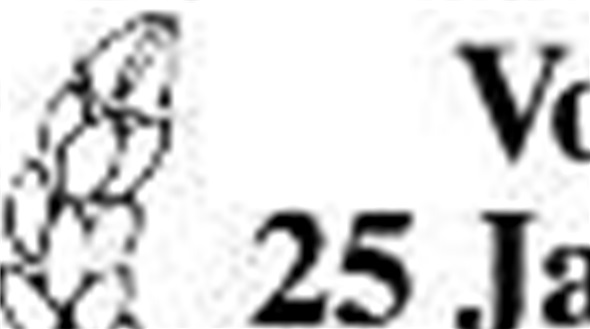 Vor 25 Jahren Februar 1986 