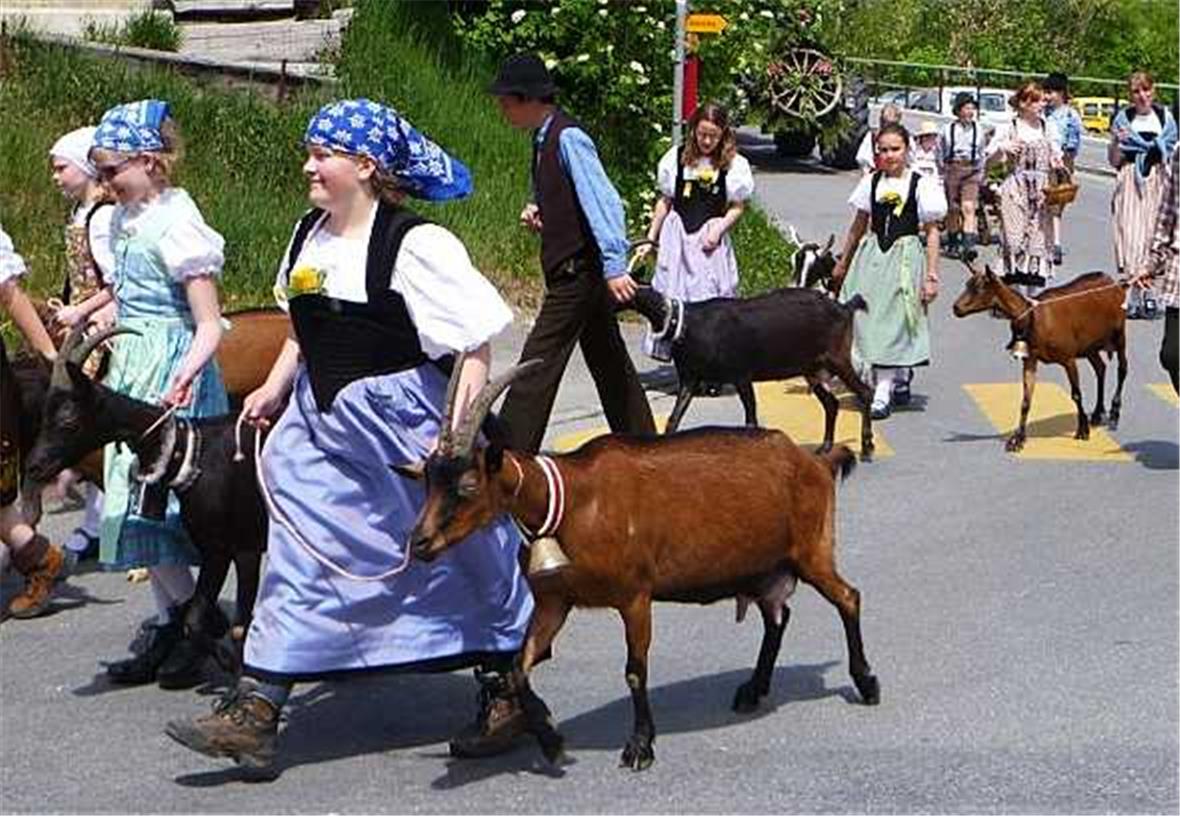 D’Chraft vom Lied söll zämechitte 