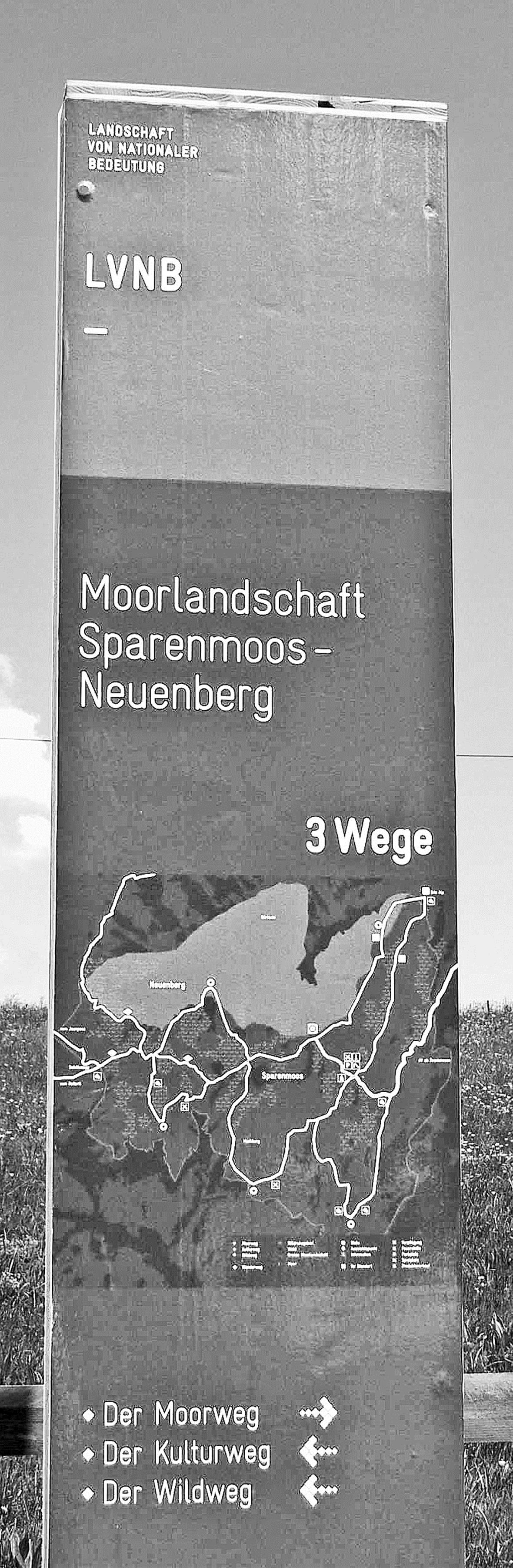 Mit offenen Augen durch die einzigartige Moorlandschaft 