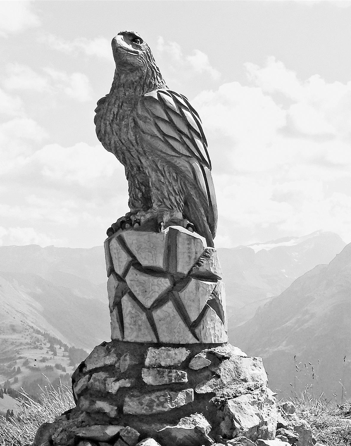 Imposanter Adler mit Weitblick 