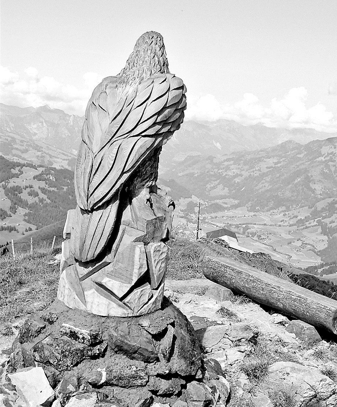 Imposanter Adler mit Weitblick 