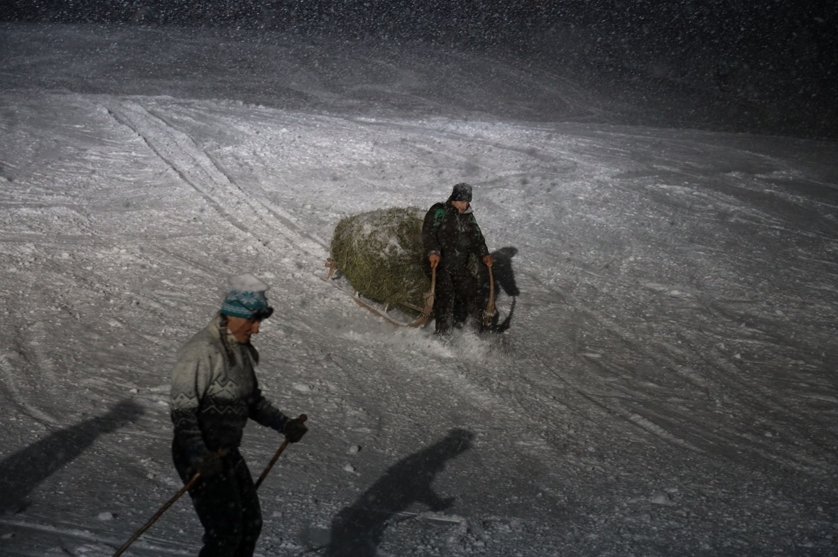 Skilehrer präsentierten erste Schneesport Show 2020 