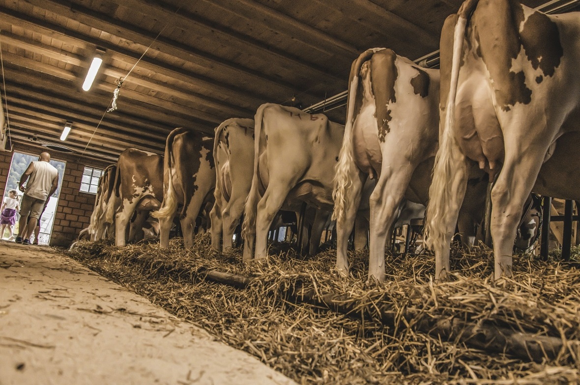 Hoher Verkaufsanteil und ein gut gefülltes Festzelt Hoher Verkaufsanteil und ein gut gefülltes Festzelt