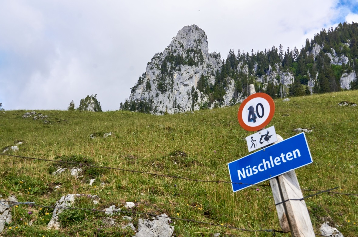 Ist das Jagdinspektorat seinen Aufgaben eigentlich gewachsen? 