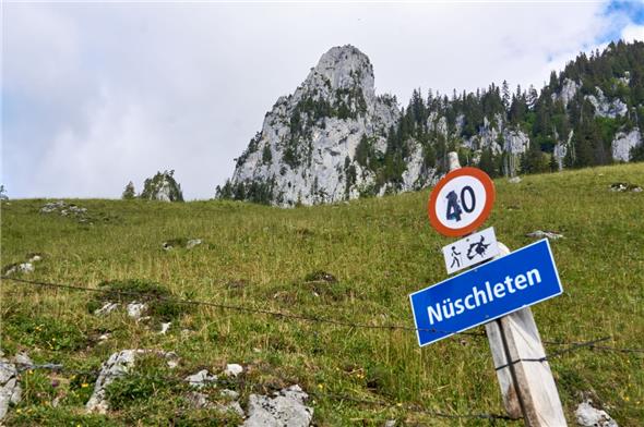 Ist das Jagdinspektorat seinen Aufgaben eigentlich gewachsen?