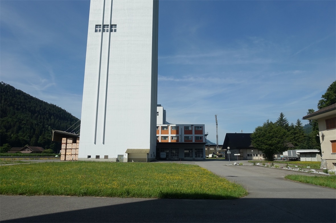 Niedersimmentaler Schwinger planen Schwinghalle 