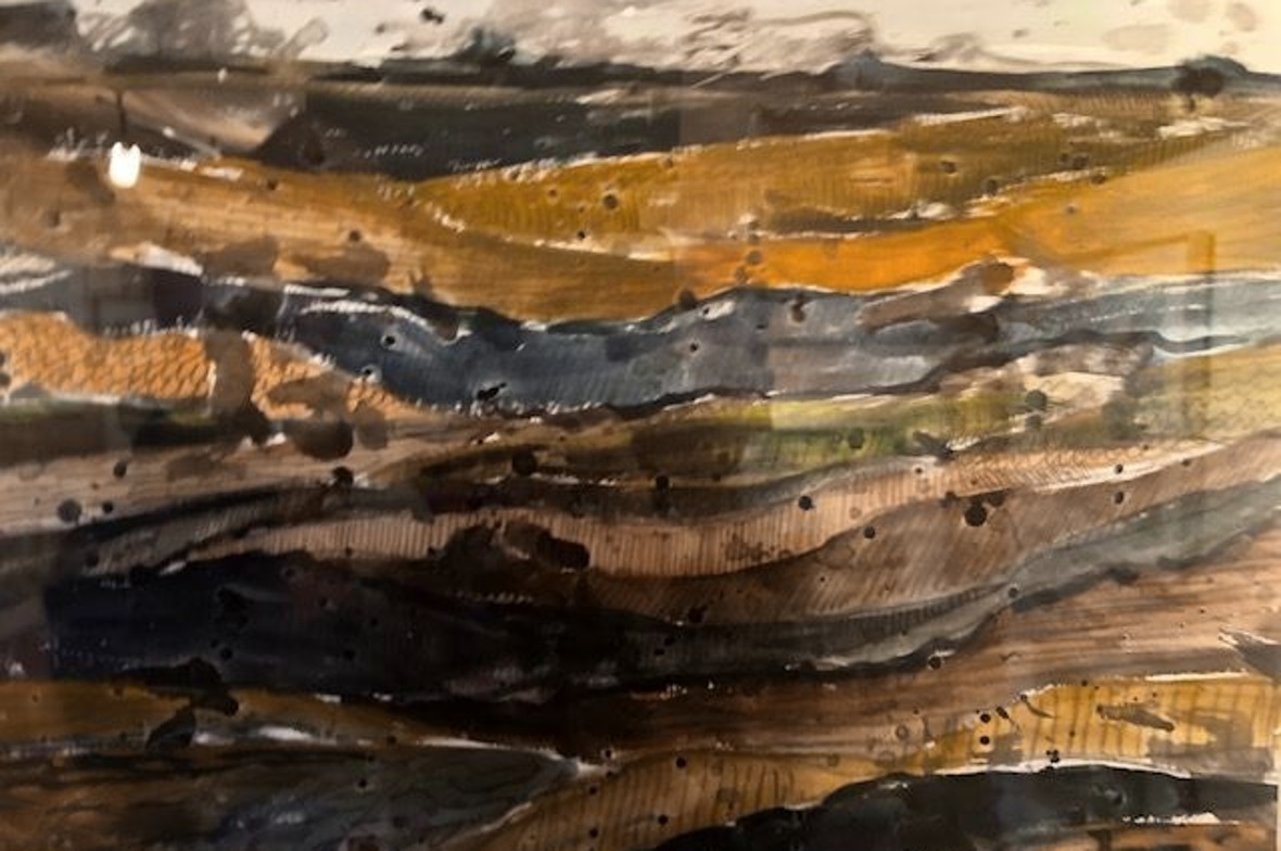 Bild von Lilly: Moorboden.