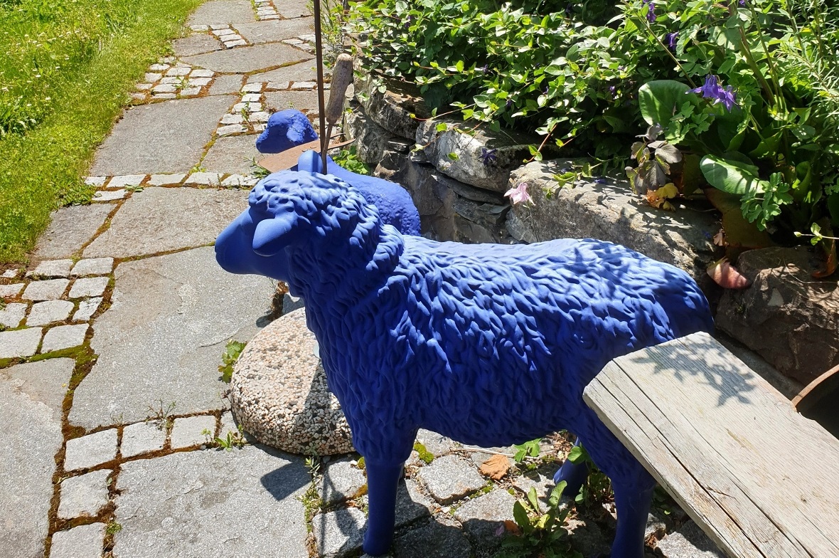 Blaulila setzt Akzente im Garten von Regula und Thomas Näf in Zweisimmen.