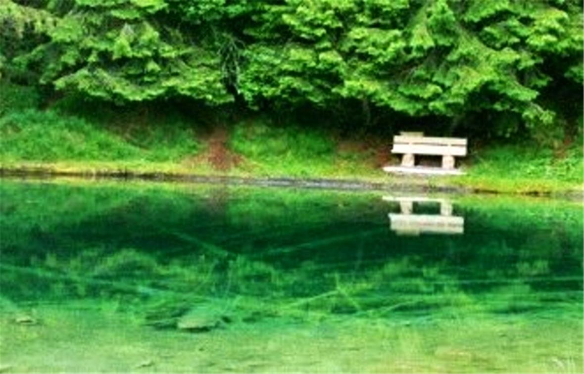 Blauseeli: Die Lesebank steht an einem idyllischen Platz.