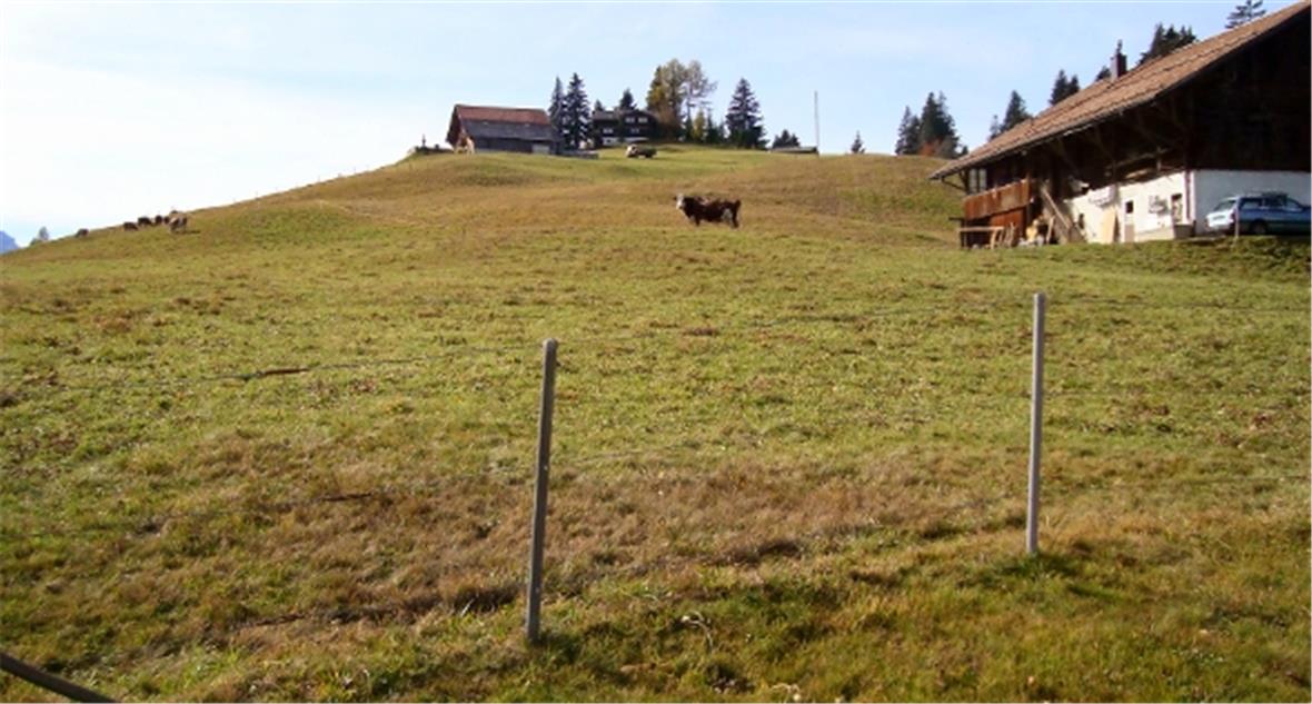 Verwaltungsrat sagt ja zum Standort Saanenmöser Blick vom Schulhaus auf das Zentrum des nach links stark abfallenden Bergmatte-Grundstückes.