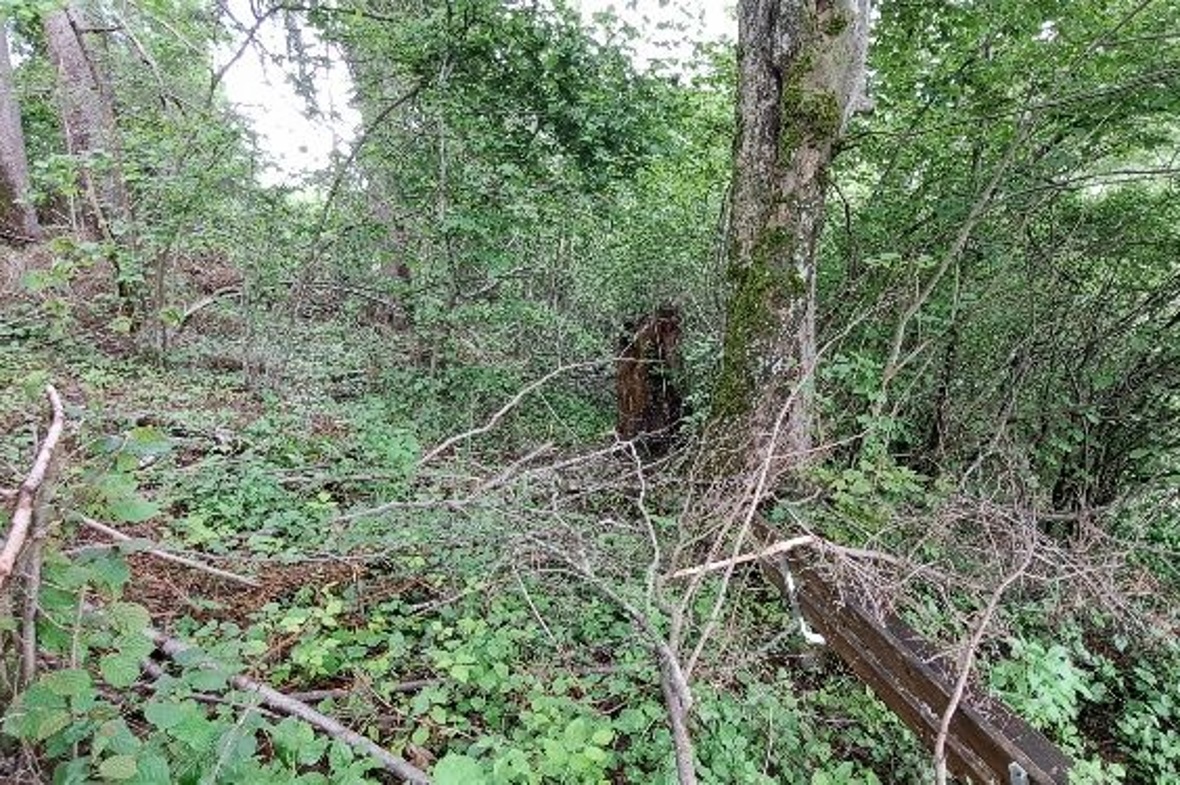 Blick von Aussichtsbänkli zum ehemaligen Fussweg.