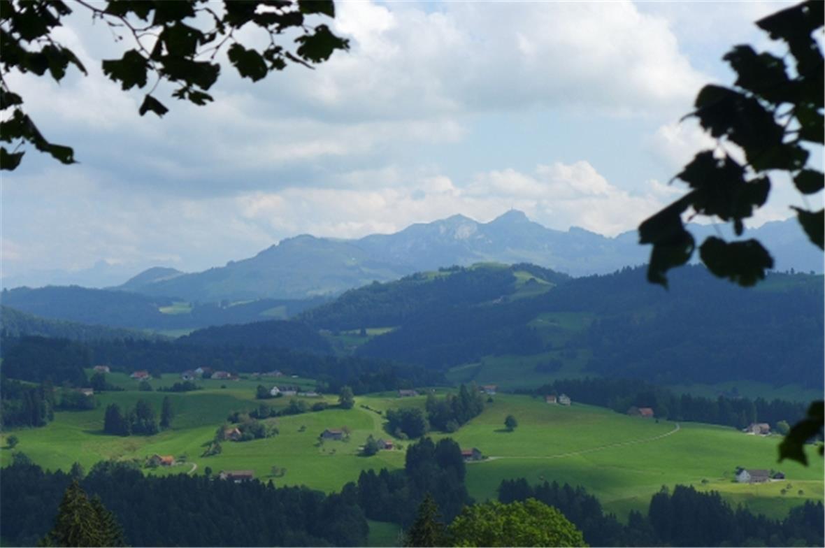 Blick von Teufen zum Alpstein